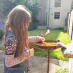 Salon-bien-etre-le-lude-10